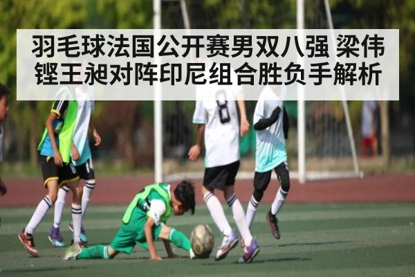 羽毛球法国公开赛男双八强 梁伟铿王昶对阵印尼组合胜负手解析
