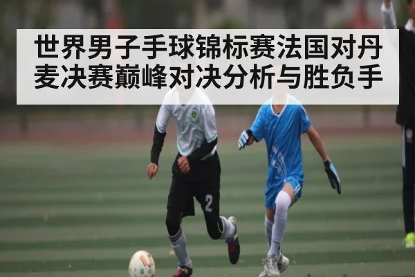 世界男子手球锦标赛法国对丹麦决赛巅峰对决分析与胜负手